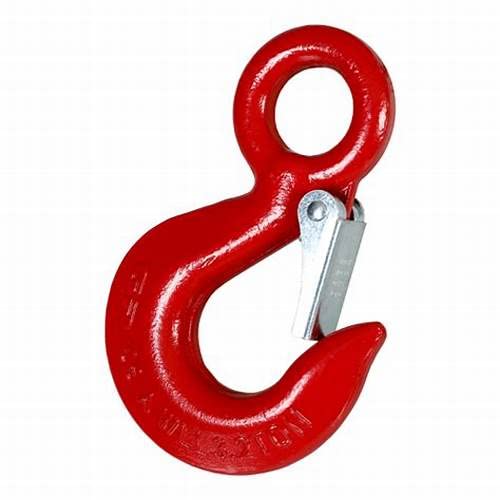 Buy awesome EYEHOOK Eye Hook with Latch Stainless Steel Heavy Duty