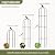 Trellume Garden Obelisk Trellis for Climbing Plants Outdoor - 69"(H), Rustproof Trellis with Adjustable Rings, Metal Plant Support for Potted Vines, Garden Trellis Use for Outdoor or Indoor(2 Pack)