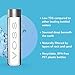 VOSS Premium Still Bottled Natural Water - BPA-Free - High Grade PET - Recyclable Plastic Bottles - Pure Drinking Water with Unique & Iconic Bottle Design - 12 Pack