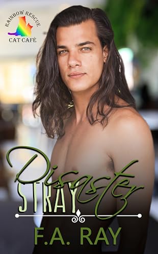 Disaster Stray: An Opposites Attract Small Town MM Romance (Rainbow Rescue Cat Café Book 2)