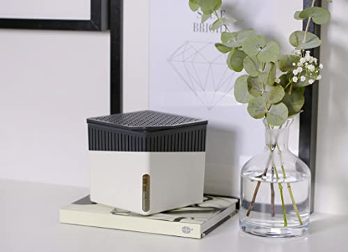 The 30 Best Battery Operated Dehumidifiers of 2025 [Verified] - Cherry ...