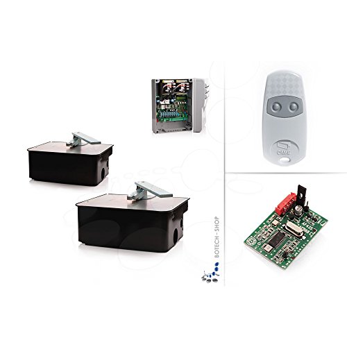 CAME FROG AE/2 Underground 230V motor - Kit S