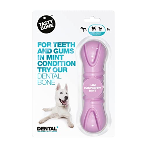 TastyBone TastyBrush Dental Nylon Dog Chew Toy (Raspberry Mint), Strong Healthy Teeth & Gums