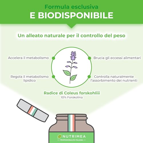 FORSKOLINA | Supporta il Metabolismo | Controllo del Peso | 100% Naturale | Pianta Coleus Forskohlii | 60 Capsule Vegane | Nutrimea - 4