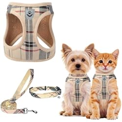 PUPTECK Adjustable Dog Harness Collar and Leash Set Step in No Pull Pet Harness for Small Medium Dogs Puppy and Cats Outdoor Walking Running, Soft Mesh Padded Reflective Vest Harnesses, Beige XS