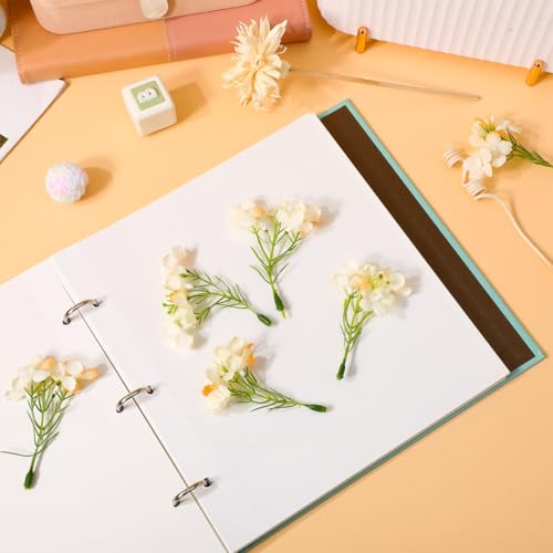 Libro prensa de flores COHEALI, álbum adhesivo para scrapbooking 23,5 x 22,7 cm, libro para preservación floral, almacenamiento de flores secas, proyectos de arte botánico y libro de visitas para bodas miniatura 4