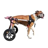 Walkin' Wheels Dog Wheelchair - for Med/Large Dogs 50-69 lbs - Veterinarian Approved - Dog Wheelchair for Back Legs