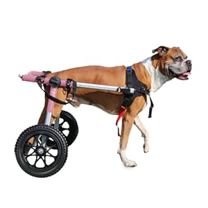 Walkin’ Wheels Dog Wheelchair – for Med/Large Dogs 50-69 lbs – Veterinarian Approved – Dog Wheelchair for Back Legs