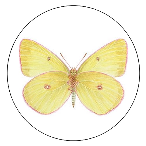 Taza de café Lang Mariposas Brillantes 14 oz miniatura 3