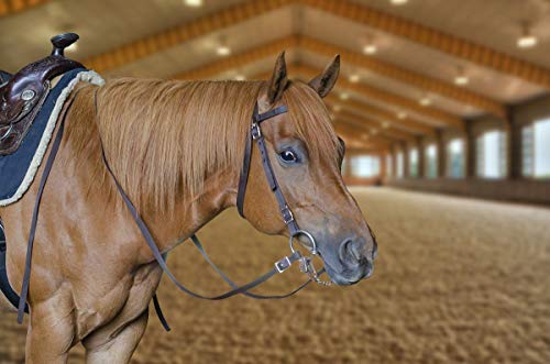 Tahoe Tack Plain Double Layer Nylon Headstall with Reins, Multiple Colors & Sizes Available, Pink, Full by Tahoe Tack - Image 4