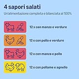 by Amazon B08VB8YZ1H lato 2