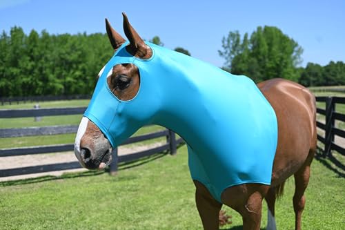 Gatsby StretchX Mane Stay Hood M Teal