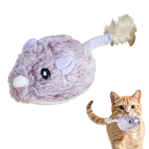 C^NeBu Lbg gC, C^NeBu lY~ t qLp, ^b`mybgpi p ތP ^ ދ V LȗV