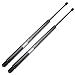 Lift Support,ECCPP Rear Liftgate Lift Support Struts Gas Spring Shocks for Chrysler Pacifica 2004 2005 2006 2007 2008 Set of 2