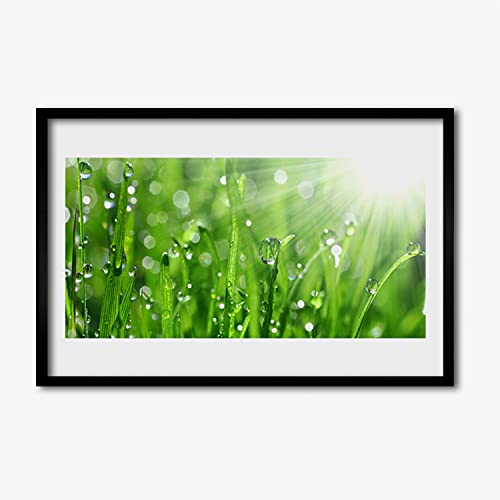 Photo murale salon nature et affiche avec cadre Tulup 60x40 cm herbe verte pour chambre