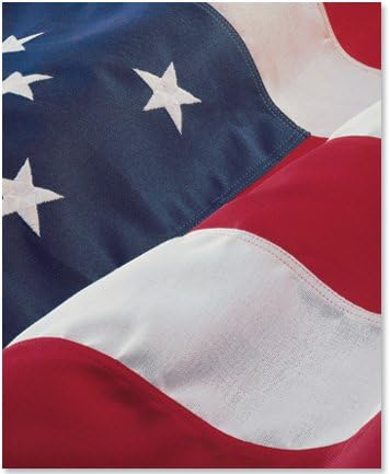 Income Tax Return Folder - American Flag