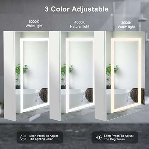 Mepplzian Medicine Cabinet With Lights Bathroom Medicine Cabinet With Mirror Wall Mounted Lighted Illuminated Mirror Cabinet With Storage,Brightness Adjustable,Not Recessed 27.5 X19.6 Inch #TOP1