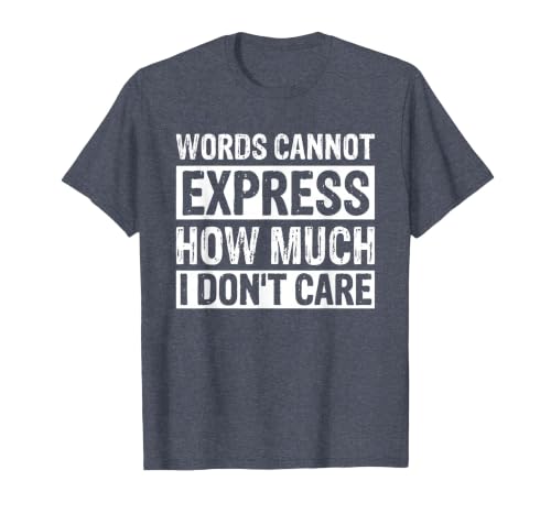 Words Cannot Express How Much I Don't Care T-Shirt, Men, Heather Blue, 5X-Large