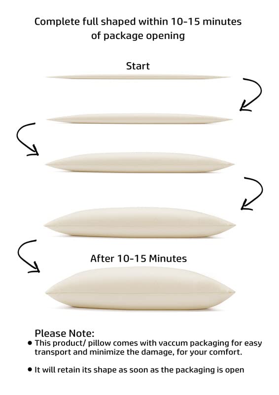 Image of Microfiber Pillow Set of 2 for Sleeping - 16x24 Inches, Light Grey and White