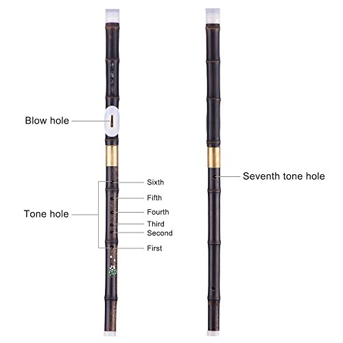 YIWENG Detchable Natural Black Bawu Ba Wu Querflöten Rohr Musikinstrument in G Key für Anfänger Musikliebhaber als Geschenk,Bawu