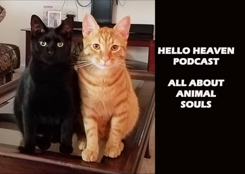 Animal Souls, Encore Show - Hello Heaven