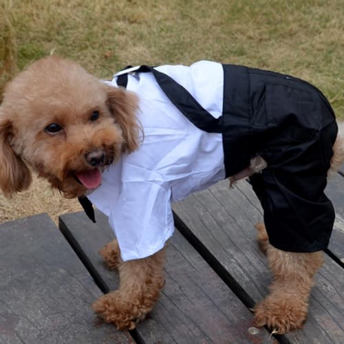Disfraz Formal para Perro XL con Moño y Tirantes miniatura 4