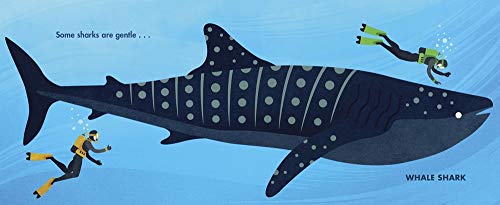 Chomp: A Shark Romp - Image 2