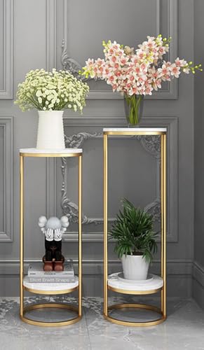 Image of Plant Stand Indoor Outdoor Metal, 2-Tier Modern Plant Shelf, Corner Flower Pot Holder, Plant Stand Table for Living Room Balcony Patio Garden Entryway Set Of 2 (Gold & White)