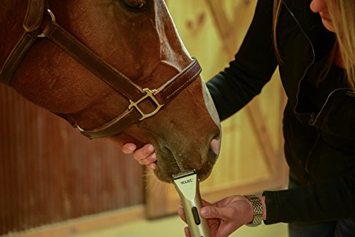 Wahl Professional Animal Arco Equine Horse Cordless Clipper Kit, Champagne (8786-800) #TOP6