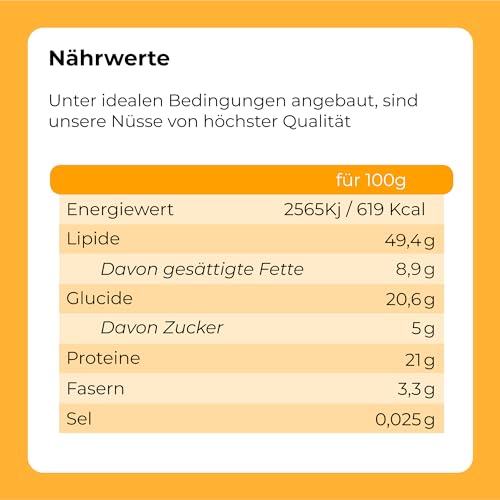 Nussmischung 1 kg I Nussmischung (Mandeln, Haselnüsse, Cashewnüsse, Pekannüsse, Paranüsse und Walnüsse) I 100 % natürliche Nussmischung I vegetarisch und vegan I gentechnikfrei I Dorimed