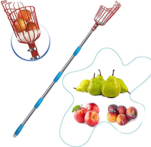 HOSKO 10FT Fruit Picker Tool, Lightweight High-Grade Stainless Steel Adjustable Fruit Picker with Metal Twist-on Basket, Suit for Apple Pear Lemon Mango Guava Orange Avocados Etc Fruit Picking