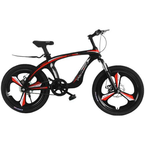 BackoluXs[h}EeoCN 20 C` 22 C`̃}OlVEfBC[AfBXN u[LzC[Aω׏d 100 kgA95% gݗčς݁Aj̎qA̎qAwAwɓKĂ܂ (_[NbhA}`Xs[h,2