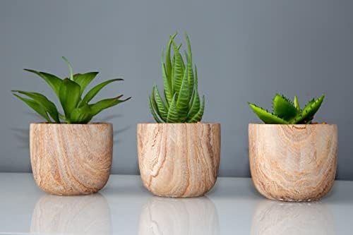 Evoke Living 3 Piece Artificial Succulents Plants Potted Decorative Fake Succulent Plant in Pots Faux Plastic Plant Indoor for Bedroom Office Desk Kitchen Decor Gift Set