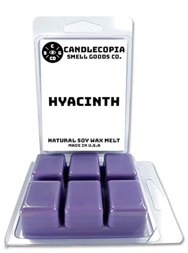 Candlecopia Hyacinth Strongly Scented Hand Poured Vegan Wax Melts, 12 Scented Wax Cubes, 6.4 Ounces in 2 x 6-Packs