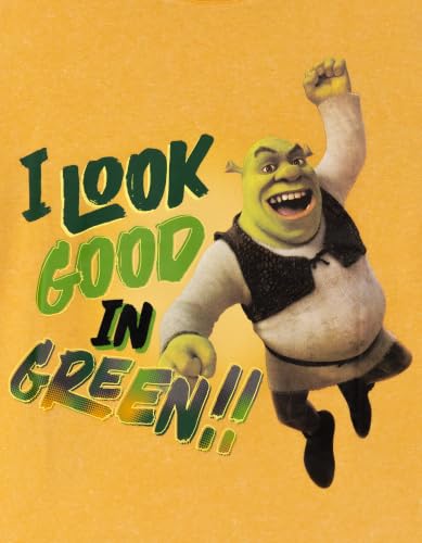 Image of DreamWorks Shrek Matching Family Short Sleeve T-Shirt