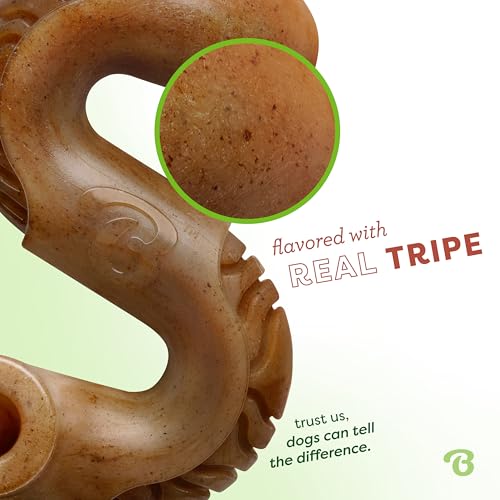 Image of Benebone Tiny 2-Pack, Tripe Bone Durable Dog Chew Toy for Aggressive Chewers, Real Tripe, Made in USA