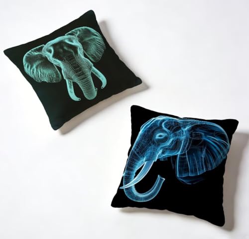 �N�b�V�����J�o�[ 60x60 cm 2���Z�b�g �� ���z�c�J�o�[ 60 x 60 ���O �h�� �\�t�@�[�N�b�V���� �� ���� �ϖ� ���� ���� ���J�o�[ HD���ʈ�� �B���t�@�X�i�[�t�� Cushion Covers, �t�ƉĂ̗����ɓK���Ă��܂� �Ⴄ�� 
