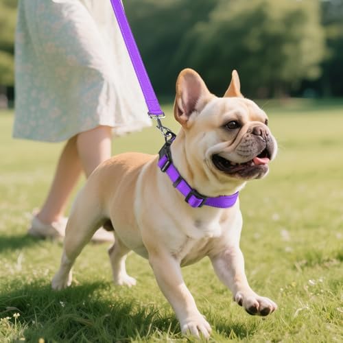 image for Joytale Reflective Dog Collar,Soft Neoprene Padded Breathable Nylon Pe