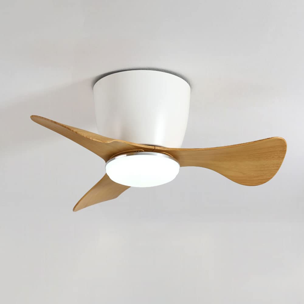 Plafonnier ventilateur de plafond LED 15W variable de 23 pouces silencieux pour îlot de cuisine