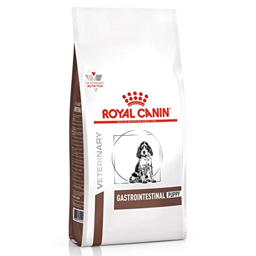 Royal Canin Gastro intestinal Junior Nourriture pour Chien 2,5 kg