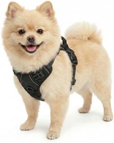 Funfox Anti Zug Hundegeschirr Kleine Hunde mit 2 Ringe, Schwarz | Verstellbar, Weich Gepolstert, Griff, Nachts Reflektierend, Frontclip Hund Geschirr für Spaziergang, S