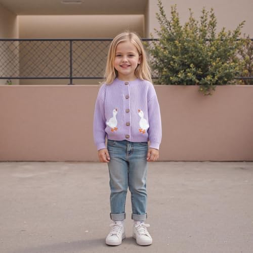Toddler Girl Boy Fall Knit Cardigan Long Sleeve Button Down Goose Embroidery Warm Winter Sweater Clothes2