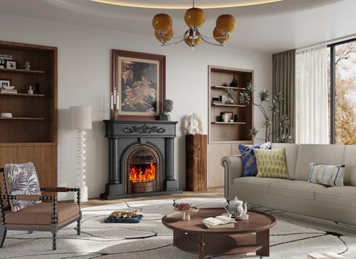 Image of Brown Bridcage Electric Fireplace Insert with Realistic Logs Flames, Overheating Protection,Electric Fireplace Heater with Remote Control, Adjustable Heater for Bedroom
