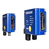 DS2100N-1314 STD-RES, RAST, HI-PERF, ETH,D.