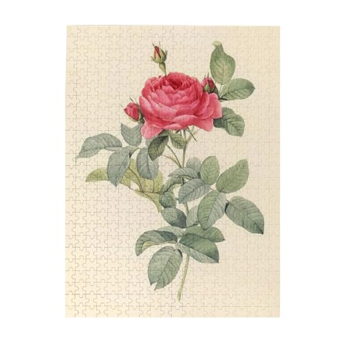 G sG[ W[t hD[e ؐWO\[pY 52cm×38cm m]`W lq yQ[ Ǌ|  aMtg 500 s[X