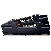G.Skill Ripjaws V Series 8GB (2 x 4GB) 288-Pin DDR4 SDRAM DDR4 3200 (PC4 25600) Desktop Memory Model F4-3200C16D-8GVKB