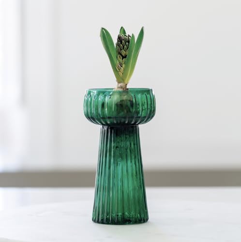 Green Ribbed Texture Hyacinth Flower Bulb Glass Vase, Spring Bulb Vase Propagator Planter, Tall Green Glass Bud Flower Vase, Hyacinth Vase, Green Vase, Coloured Glass Vase, Stem Vase, Bud Vase