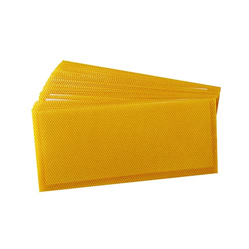 ZDJR 30 Pcs Bees Wax Foundation, Bee Products Wax Foundation, Bee Keeping Farming Equipment Comb Foundation