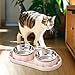 IEUDNS Cat Food Bowls Food Water Feeder Convenient Easy to Clean Anti Spilling Feeding Station Stainless Steel Double Bowls, Pink