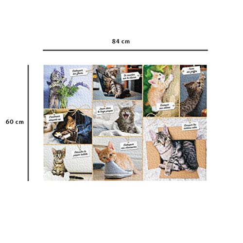 Nathan Puzzle 1500 pièces Bêtises de chat Adultes et enfants dès Puzzle de qualité supérieure Encastrement parfait Collection Tendresse 87810 - vue 3